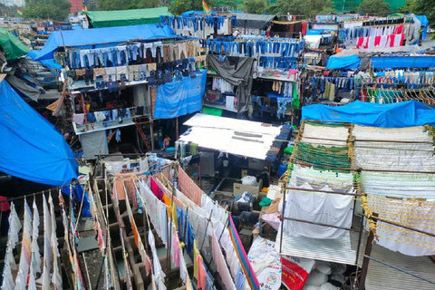 Mumbai: tour panoramico privato e tour dei bassifondi con un abitante del luogo