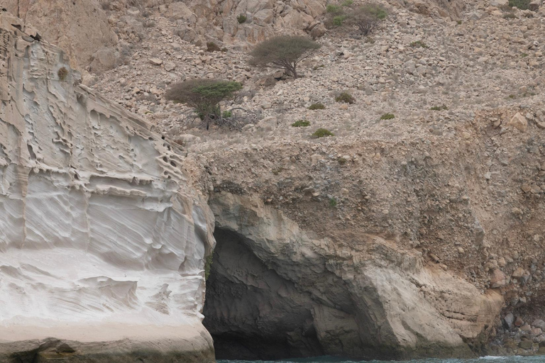 From Dubai/Sharjah/RAK: Musandam Dibba Day Cruise