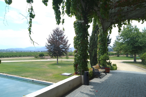 Wineries Tour in Casablanca Valley from Valparaiso Shared tour