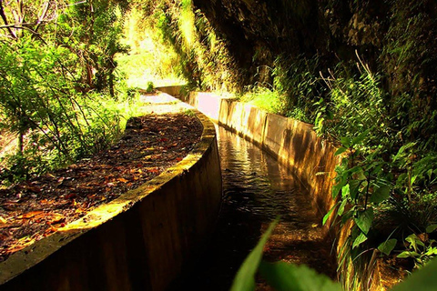 Madeira Serra d’Água: A Scenic Levada Walk Pickup Estreito, Câmara de Lobos