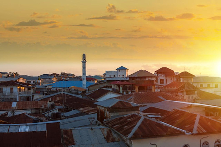 Promenade dans Stone Town avec une guide experteVisite guidée de Stone Town en compagnie d'une guide experte