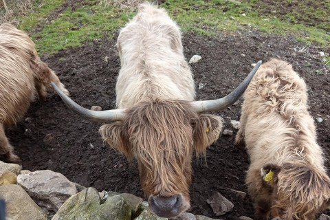 Édimbourg : Stirling, Highlands, Loch Ness, Mull - Circuit de 5 joursÉdimbourg : Stirling, Highlands, Loch Ness, Skye - Circuit de 5 jours