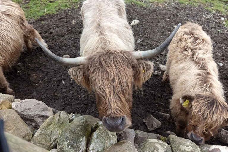 Édimbourg : Stirling, Highlands, Loch Ness, Mull - Circuit de 5 joursÉdimbourg : Stirling, Highlands, Loch Ness, Skye - Circuit de 5 jours