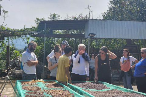 Dalat: piantagione di caffè, fabbrica di seta e tour culturaleDalat: tour tra piantagioni di caffè, fabbriche di seta e cultura