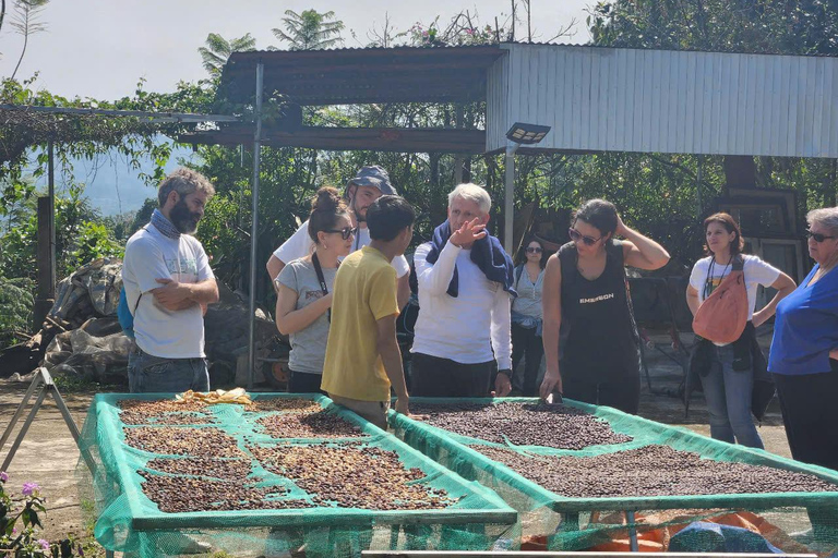 Dalat: piantagione di caffè, fabbrica di seta e tour culturaleDalat: tour tra piantagioni di caffè, fabbriche di seta e cultura