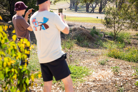 Au départ de Melbourne : Circuit Premium de la Grande Route de l&#039;Océan en sens inverseAu départ de Melbourne : circuit haut de gamme sur la Great Ocean Road dans le sens inverse