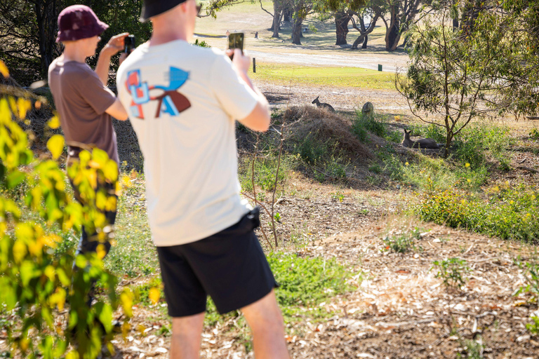 Au départ de Melbourne : Circuit Premium de la Grande Route de l&#039;Océan en sens inverseAu départ de Melbourne : circuit haut de gamme sur la Great Ocean Road dans le sens inverse