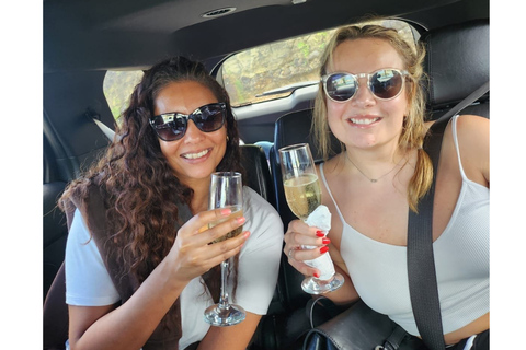 Saint Lucia: Private Airport Transfer with Champagne Welcome