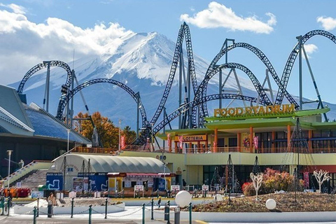 Fuji: kultur, skog och utsikt – privat skräddarsydd turFuji-kultur, skog och naturskön utsikt: Privat skräddarsydd tur