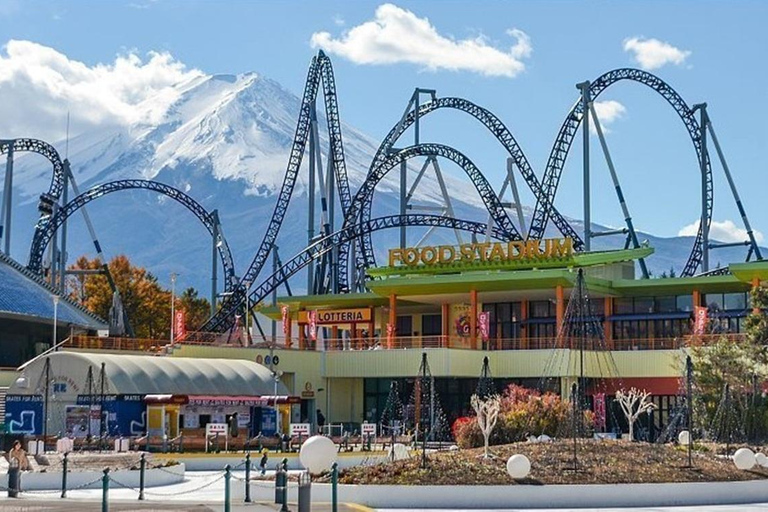 Fuji: kultur, skog och utsikt – privat skräddarsydd turFuji-kultur, skog och naturskön utsikt: Privat skräddarsydd tur