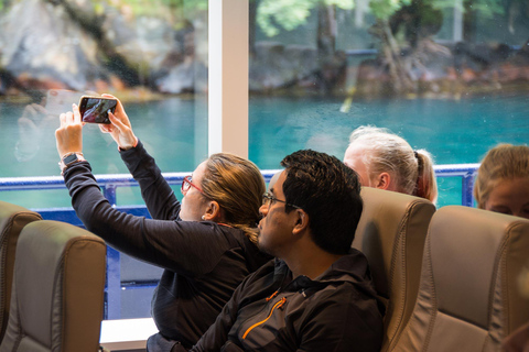 Depuis Ålesund : Croisière aller-retour en bateau vers le Geirangerfjord