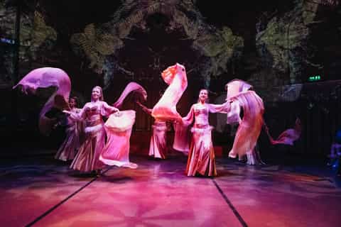 Istanbul: Turkish Dance Show at Hodjapasha Cultural Centre
