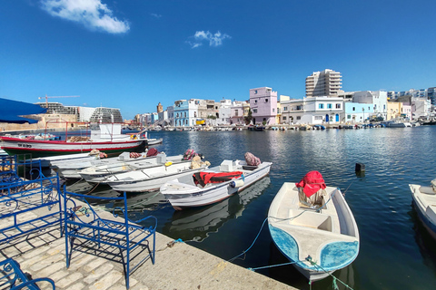From Tunis: Utica, Bizerte, and Cap Angela Private Day Trip