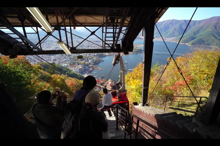 Desde Tokio: Excursión Privada de un Día al Monte Fuji
