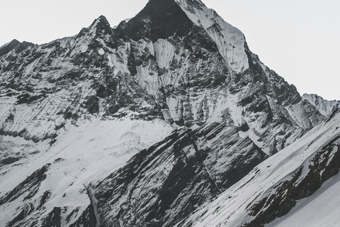 From Pokhara: 7-day Khopra Trekking Adventure The Khopra Trek Adventure with Guide.