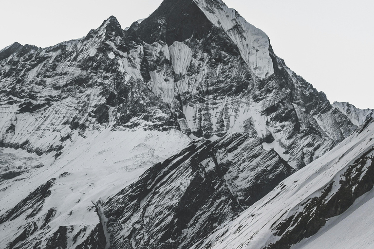 From Pokhara: 7-day Khopra Trekking Adventure The Khopra Trek Adventure with Guide.