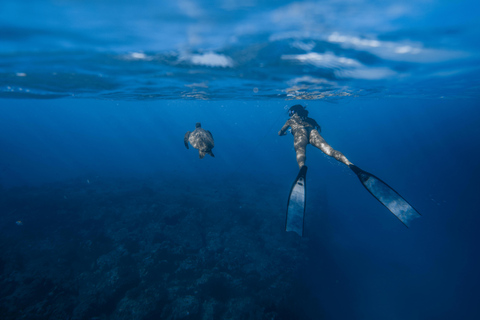 Discover Snorkeling Tour In The North Of Mauritius