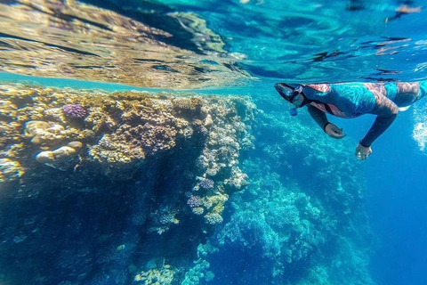 Sharm: Excursão de meio dia a Ras Mohammed de autocarro e ao Portão de Alá