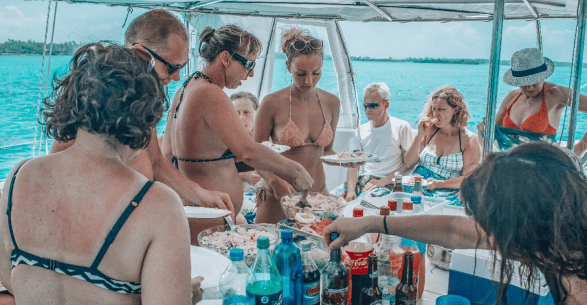 ILE AUX CERFS Catamaran Trip w/ almoço, bebidas e transferência - Housity