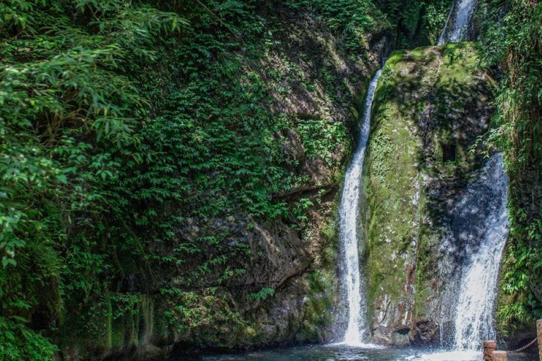 Sichuan: Mount Qingcheng Ticket, PDF & Concierge