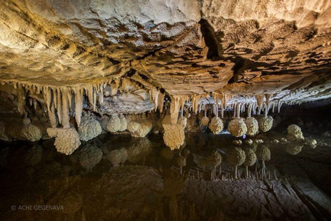 Kutaisi: Sataplia, Dinosaur Footprint, included Wine Tasting