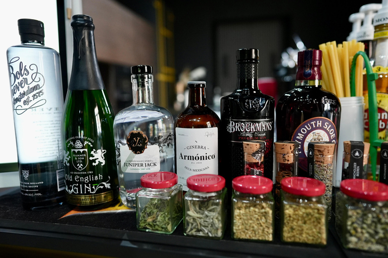 Dresden: Gin and Gin & Tonic Tasting with Guided Sampling