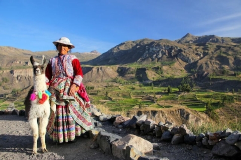 From Arequipa: Full-Day to Colca Canyon