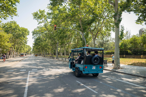 Barcelona: 2h Premium Private Tuk-Tuk Tour