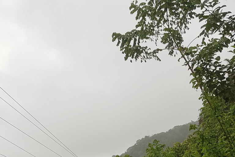 La Fortuna: Visit a Waterfall and Ride an ATV with Breakfast from San Jose La Fortuna: Visit a Waterfall and Drive an ATV with Breakfast from San Jose