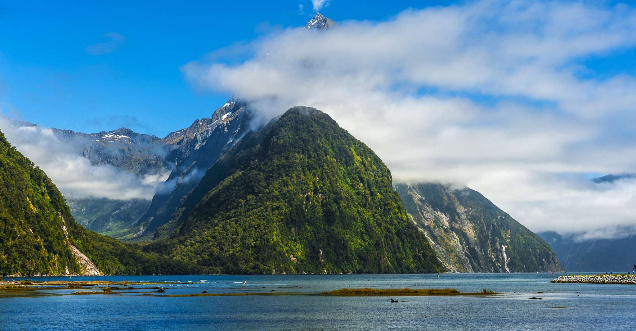 From Queenstown, Milford Sound Full-Day Tour with Lunch - Housity