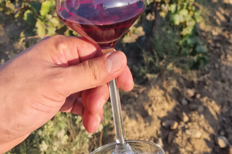 Alt emporda wine tasting with breakfast and lunch