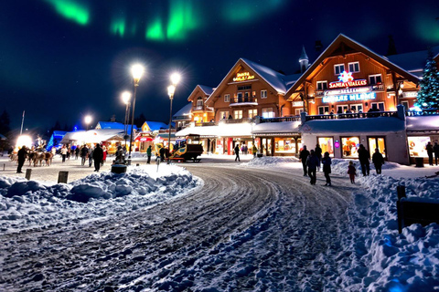 Rovaniemi:Santa Claus Village Guided Tour with Santa's gift Private Santa village