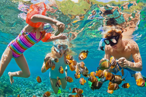 Sharm El-Sheikh: Pvt Speedboat to Tiran Island Snorkel/Dive