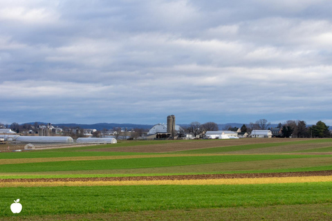 Philadelphia and Lancaster: Day Excursion from New York