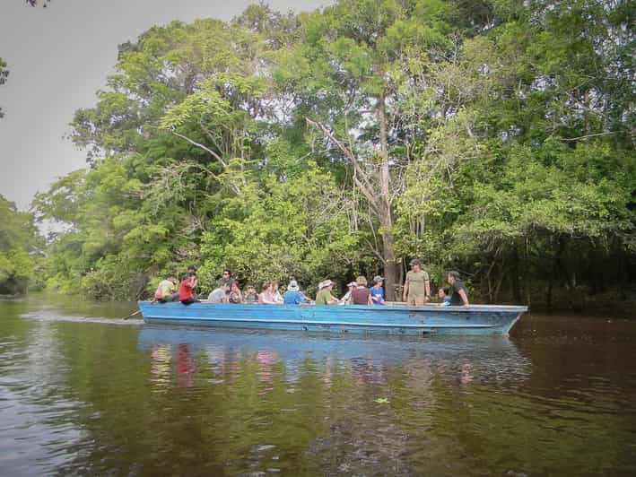 Iquitos | Amazon Tour | 4 Days inside the Rainforest Jungle | GetYourGuide