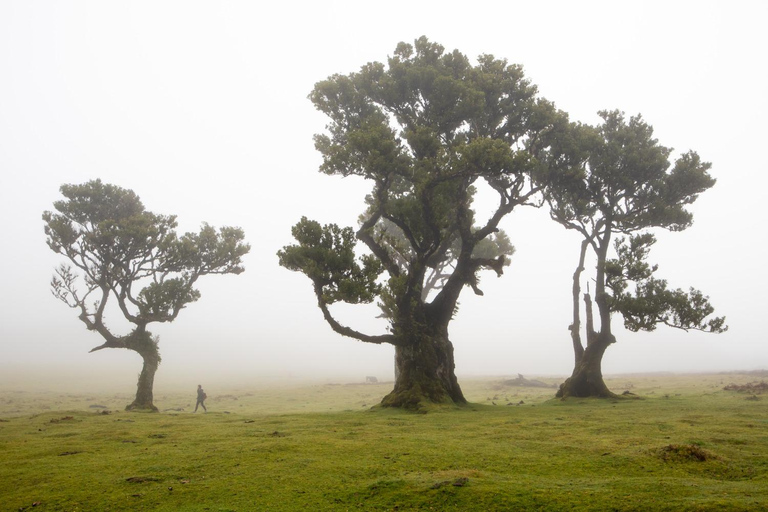 Madeira: Oeste Achadas Cruz, Moniz, Seixal y Fanal