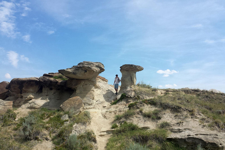 Banff : Visite privée des Badlands avec le musée Royal Tyrrell