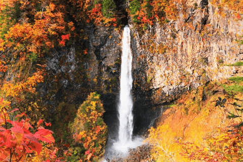 Von Tokio aus: Nikko UNESCO-Welterbe 1-Tages-TourShinjuku Station Abholung um 8:30 Uhr