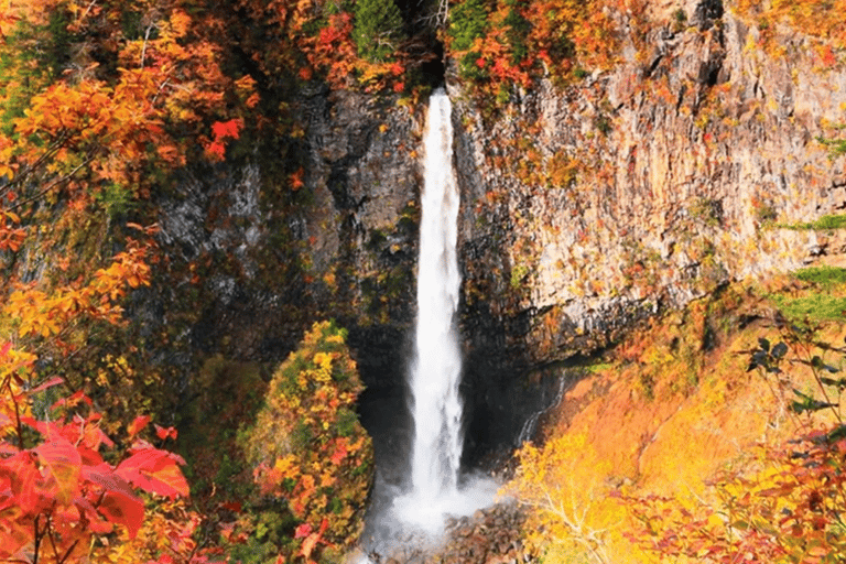 Vanuit Tokio: Nikko UNESCO's 1-daagse werelderfgoedtourOphalen vanaf station Shinjuku om 08.30 uur