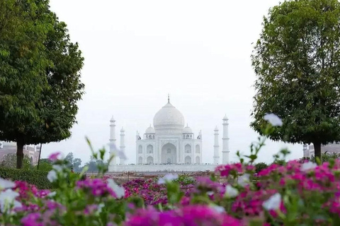 Desde Delhi: Taj Mahal Agra Tour Privado de un Día con TrasladosAgra Tour Privado de un Día con Traslados - CON TARIFA DE ENTRADA