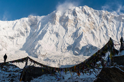 Pokhara: 7 Days Annapurna Basecamp Trek