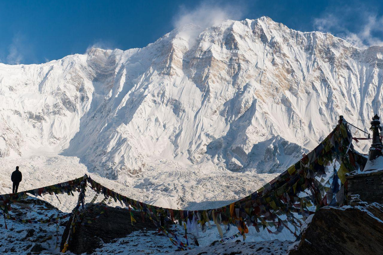 Pokhara: 7 Days Annapurna Basecamp Trek