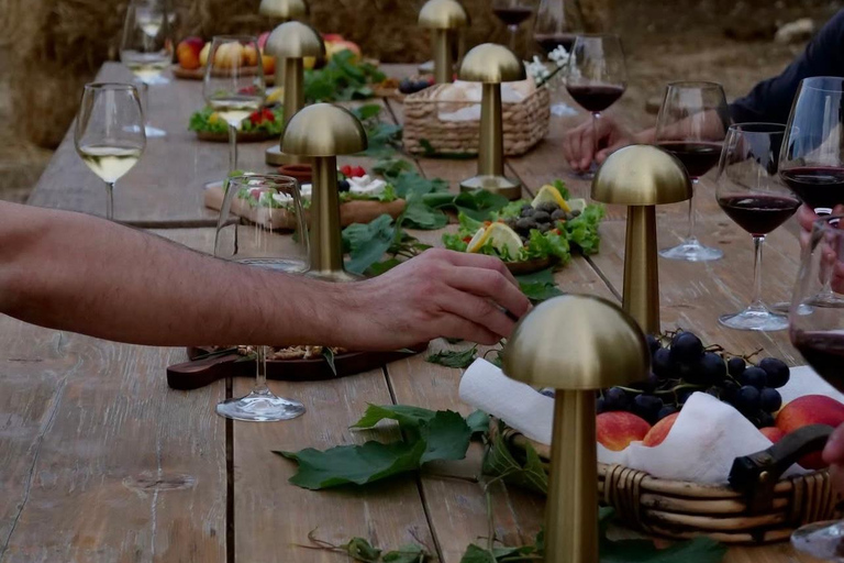 Albanian Wine &amp; Raki Tasting Experience at Hani i Qerosit