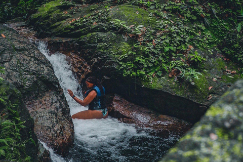 Kuala Lumpur: Waterfall Hike and Wildlife Spotting