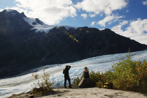 Seward: Guided Marmot Meadows Hike with Lunch