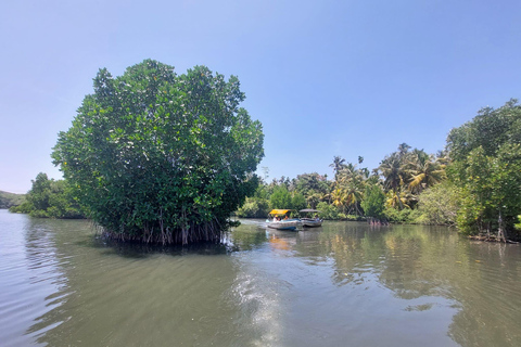 Bentota/Beruwala: Galle Fort, Koggala Lake & Kayaking Tour