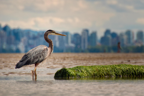 Tour guiado de bicicleta pelo Stanley Park