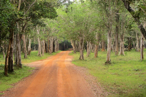 Sri Lanka: 12-tägige Tour mit Entdeckung des reichen Erbes