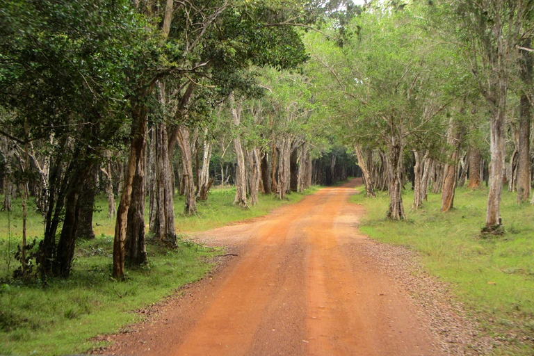 Sri Lanka : Circuit de 12 jours avec découverte du riche patrimoine