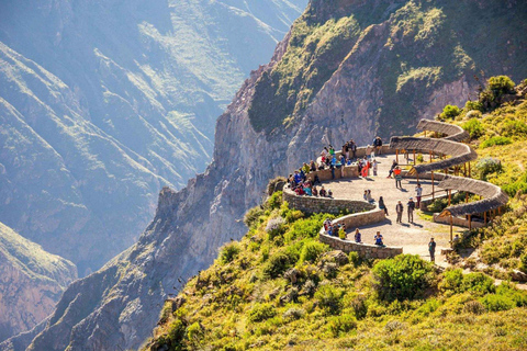 Från Arequipa: Tur till Colca Canyon + Transfer till Cusco